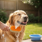 DIAMO™ Cepillo Vapor 3 en 1